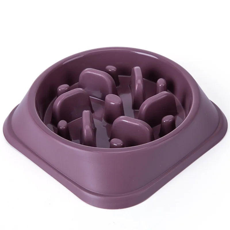 Dog Slow Feeder Puzzle Bowl